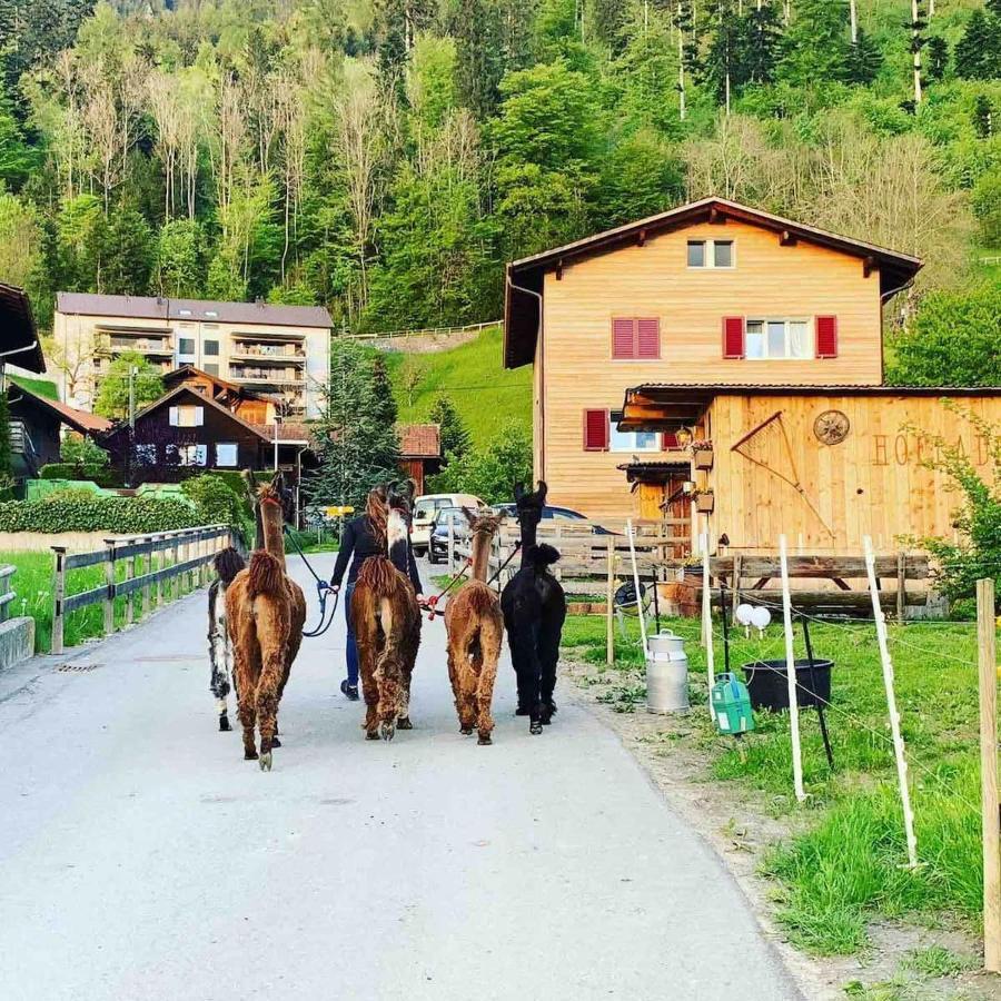 Jurte Beim Lama- & Alpakahof Triesenberg Hotel Luaran gambar