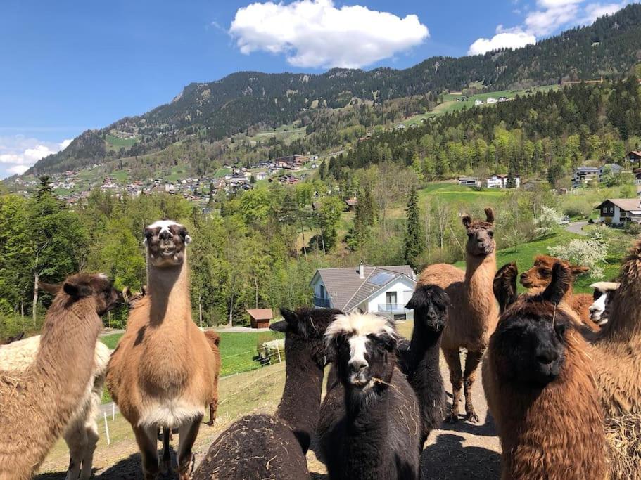 Jurte Beim Lama- & Alpakahof Triesenberg Hotel Luaran gambar