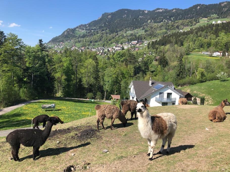 Jurte Beim Lama- & Alpakahof Triesenberg Hotel Luaran gambar