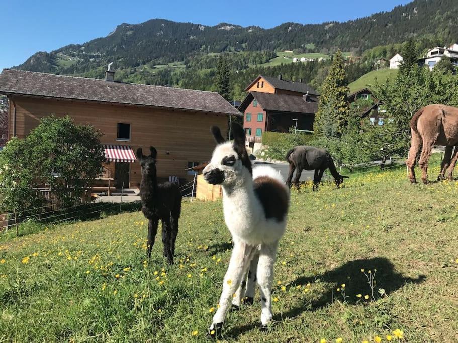 Jurte Beim Lama- & Alpakahof Triesenberg Hotel Luaran gambar